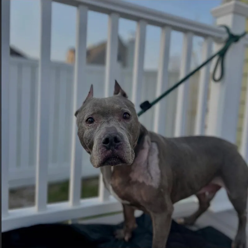 Rolly Polly thumbnail 4