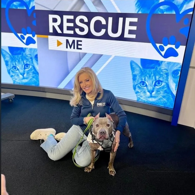 Rolly Polly thumbnail 5