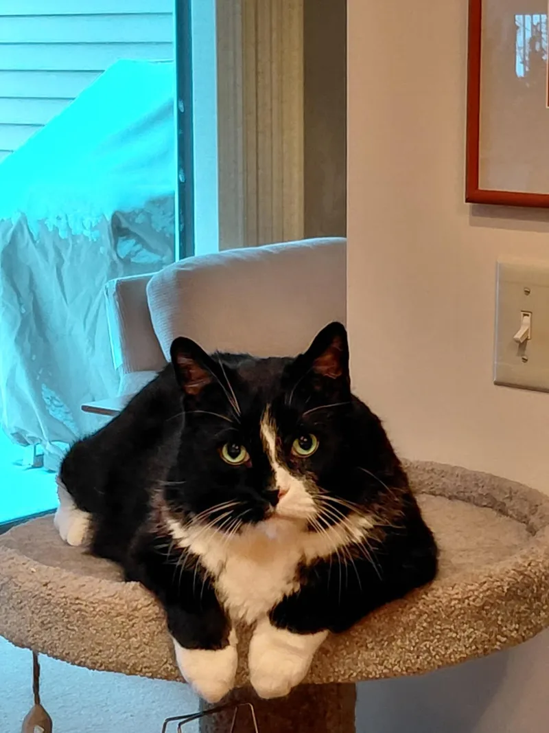 Sebastian