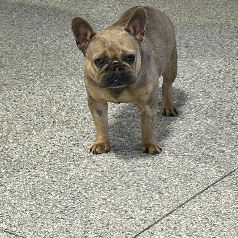 Friendly Farah thumbnail 2