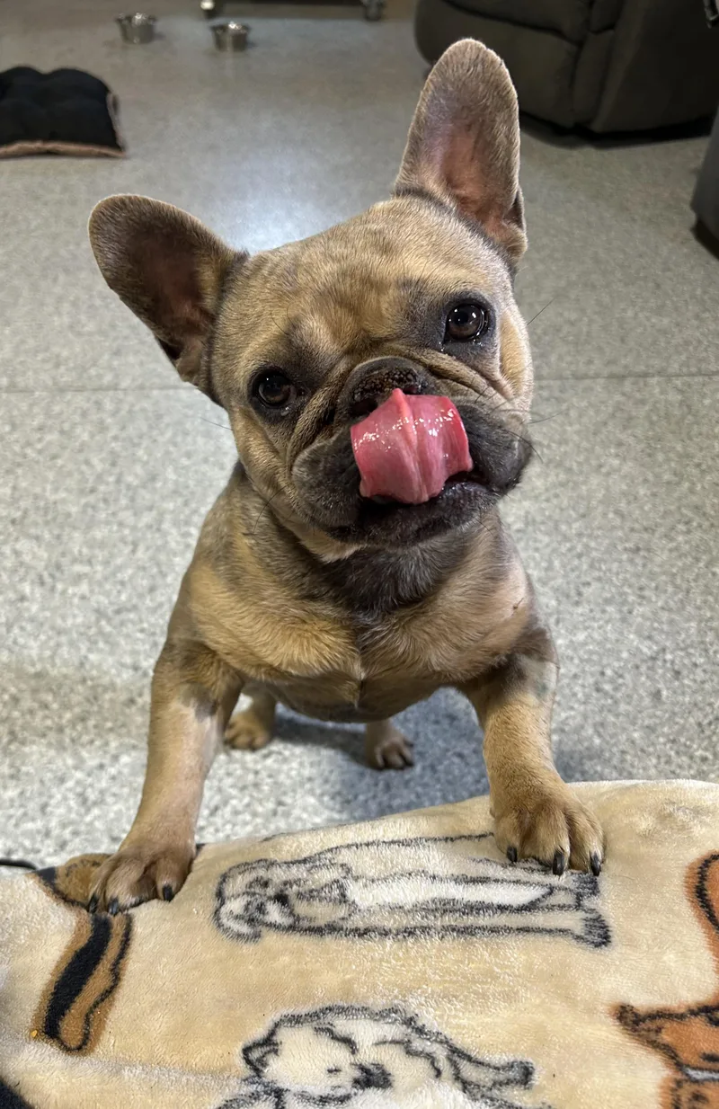 Friendly Farah thumbnail 3