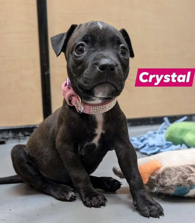 Crystal thumbnail 2