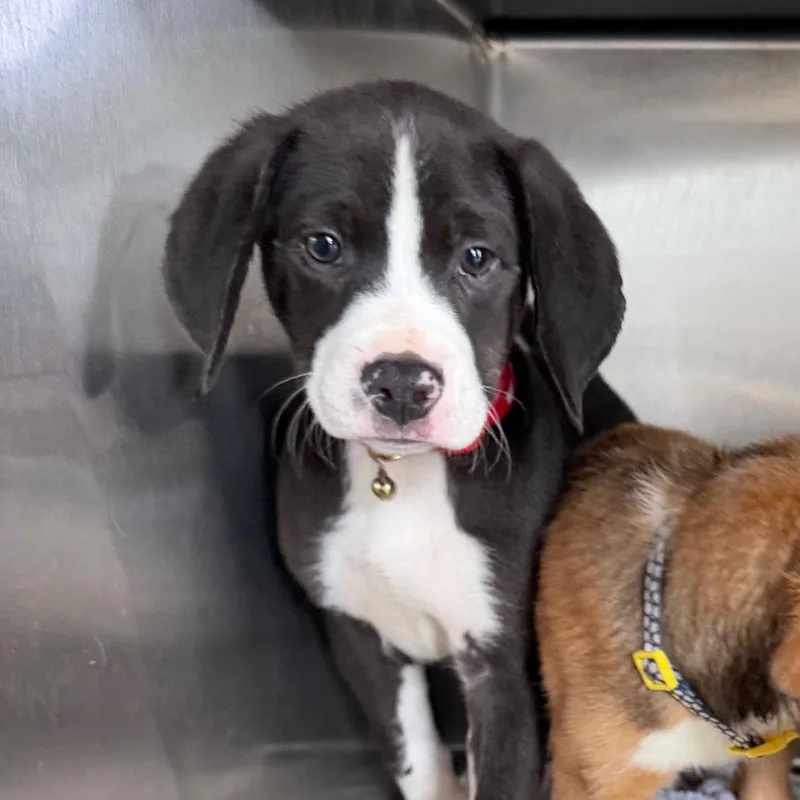 Spotlight thumbnail 2