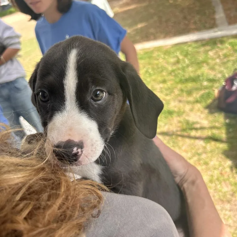 Spotlight thumbnail 3