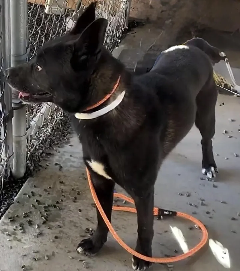 Emergency  Out Of thumbnail 2