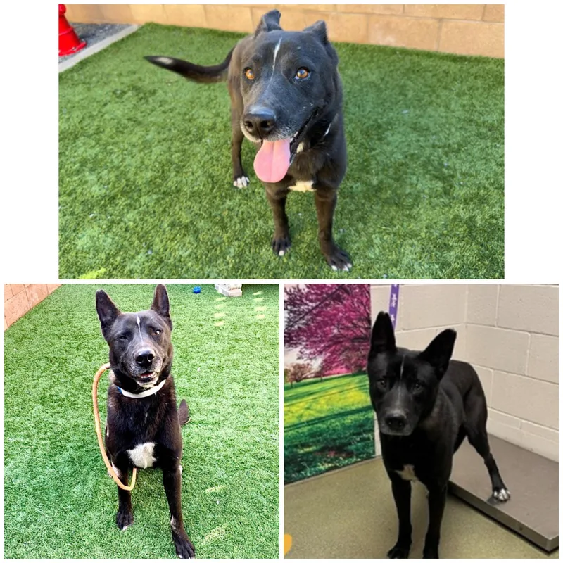 Emergency  Out Of thumbnail 3