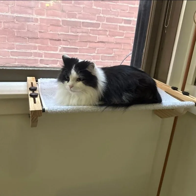 Finnegan thumbnail 4