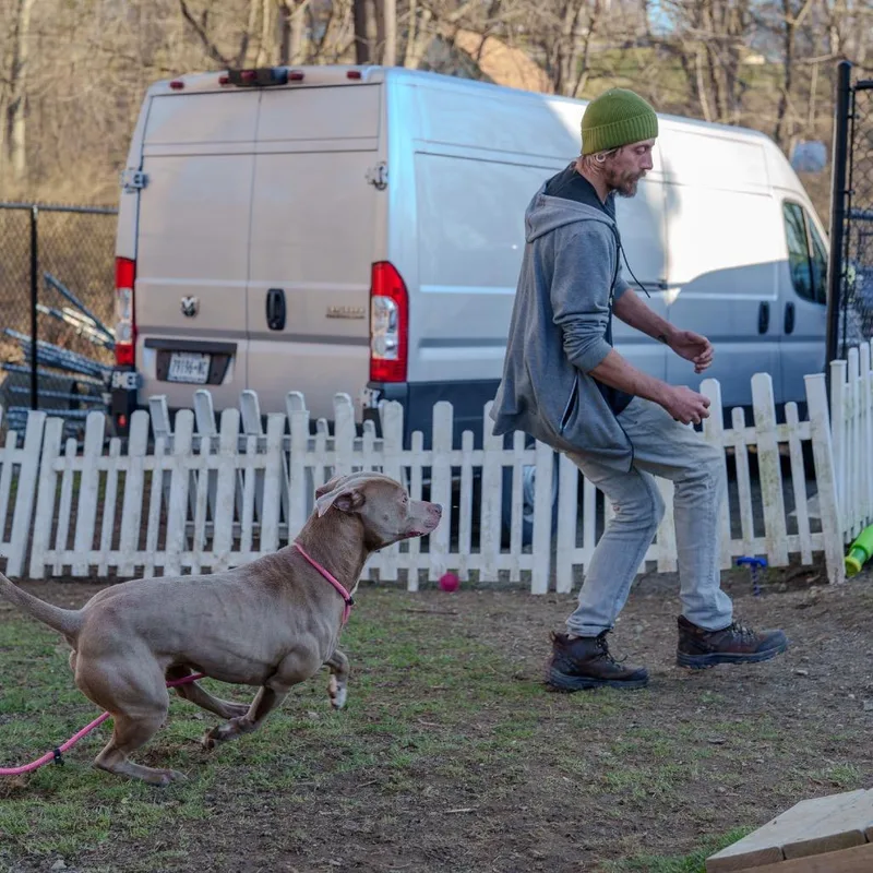 Brad Pit thumbnail 3