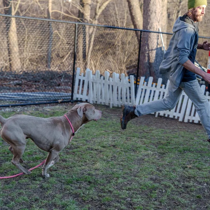 Brad Pit thumbnail 6