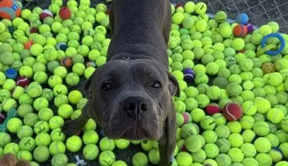 Caseyjones thumbnail 5