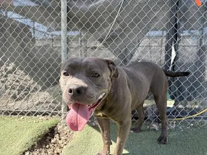 Caseyjones thumbnail 6