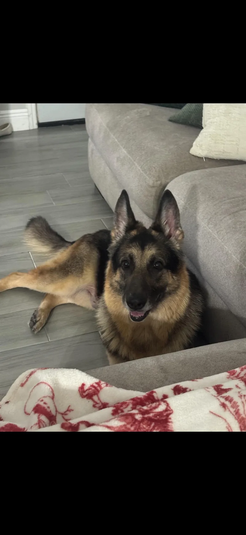 Rocko