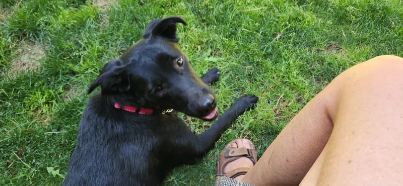 Carmen thumbnail 3