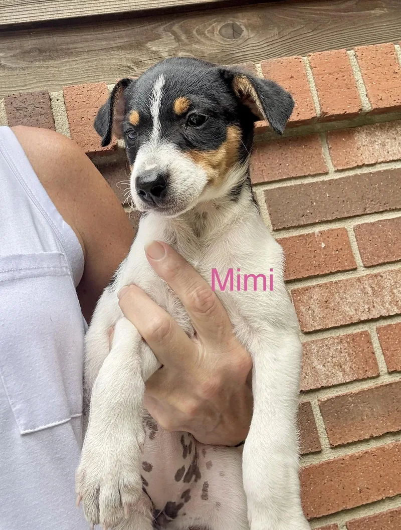 Mimi an max thumbnail 2