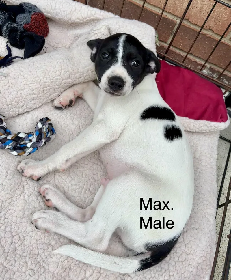 Mimi an max thumbnail 3