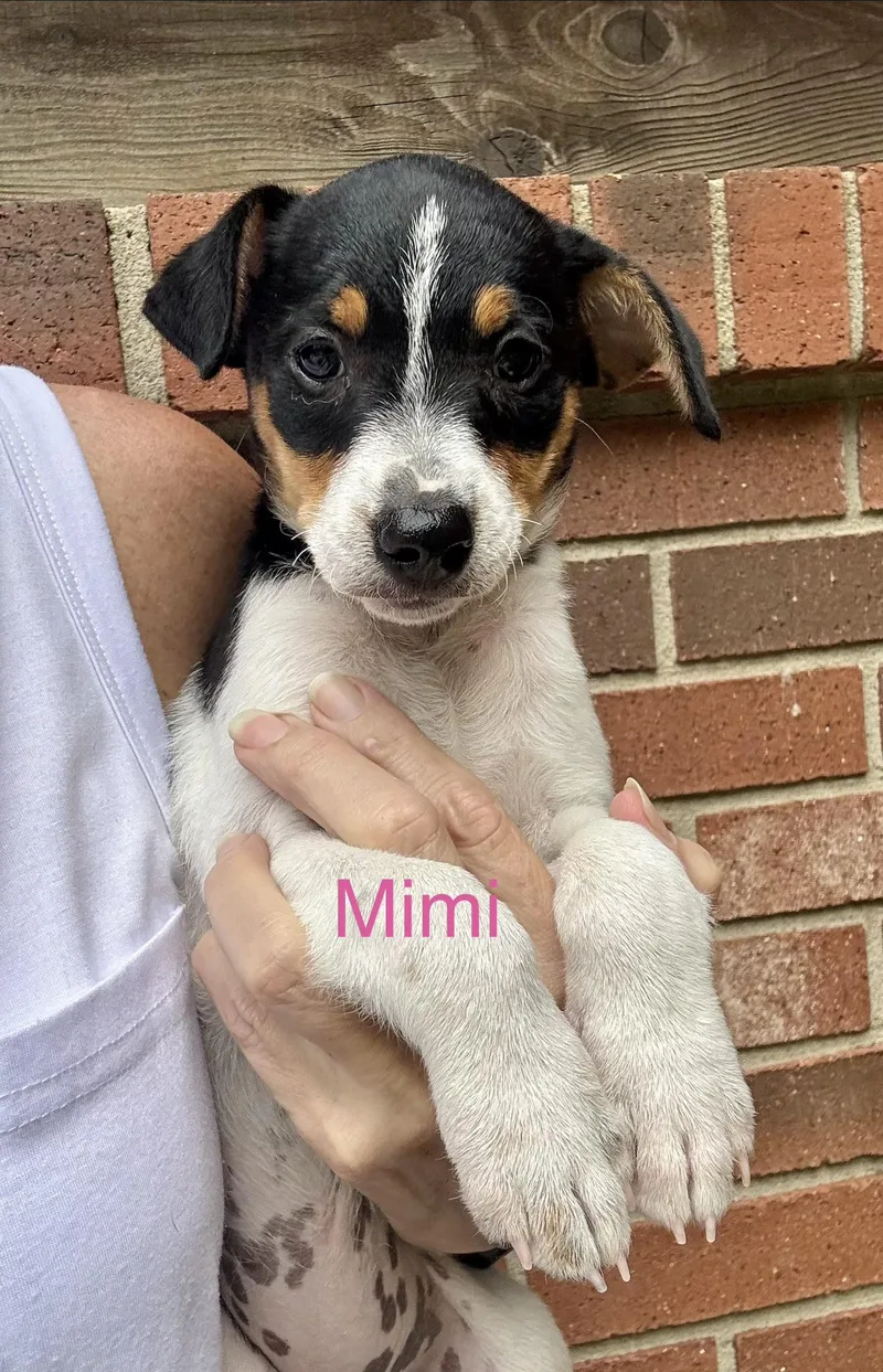 Mimi an max thumbnail 4