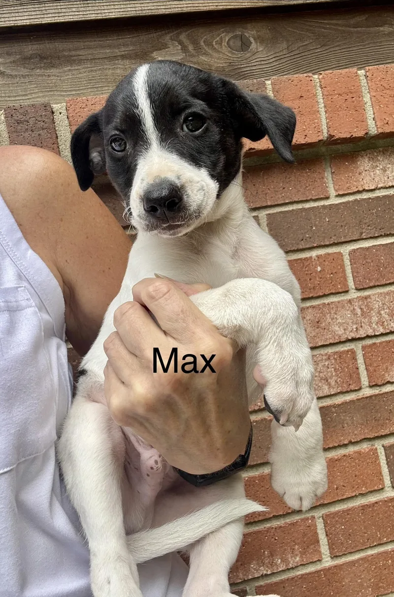 Mimi an max thumbnail 5