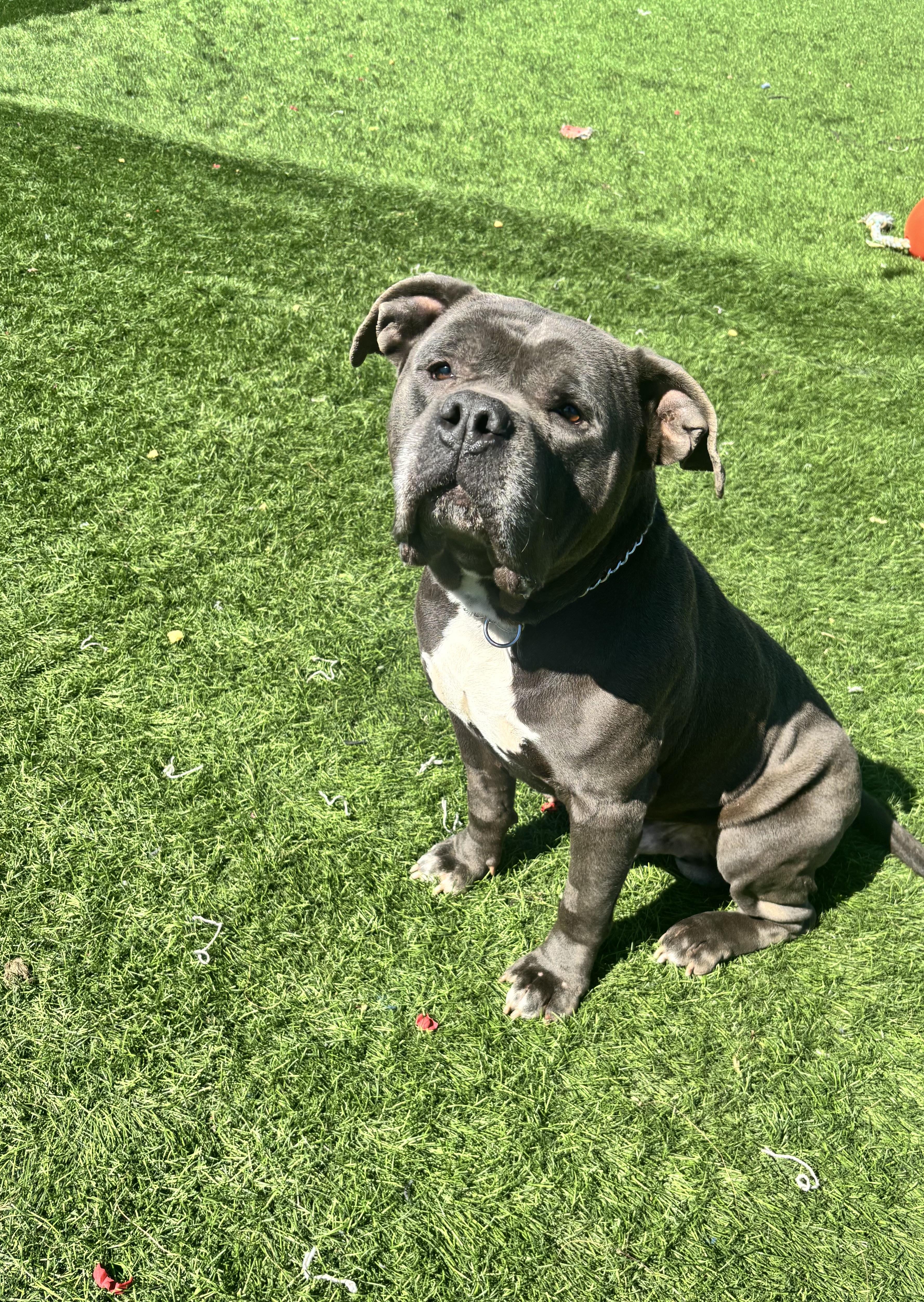 Rj Cross Listing thumbnail 2