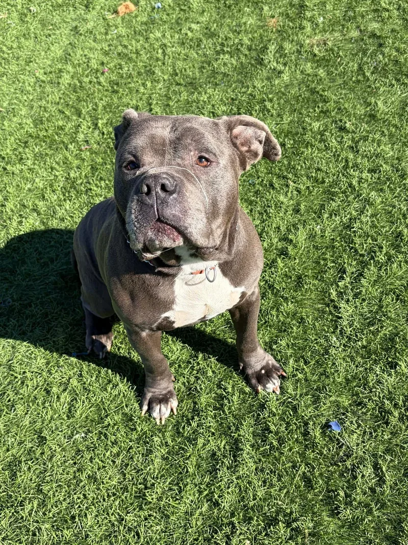 Rj Cross Listing thumbnail 3