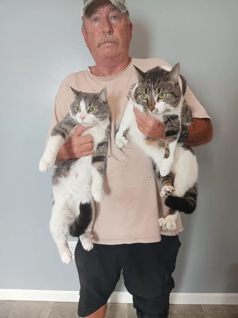 Dennis and Eleanor thumbnail 2