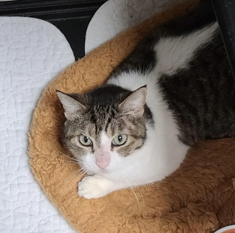 Lady Byrd thumbnail 2