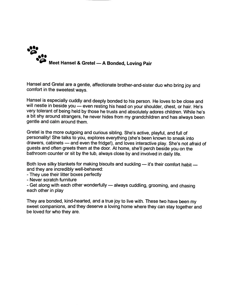 Hansel And Gretel thumbnail 2