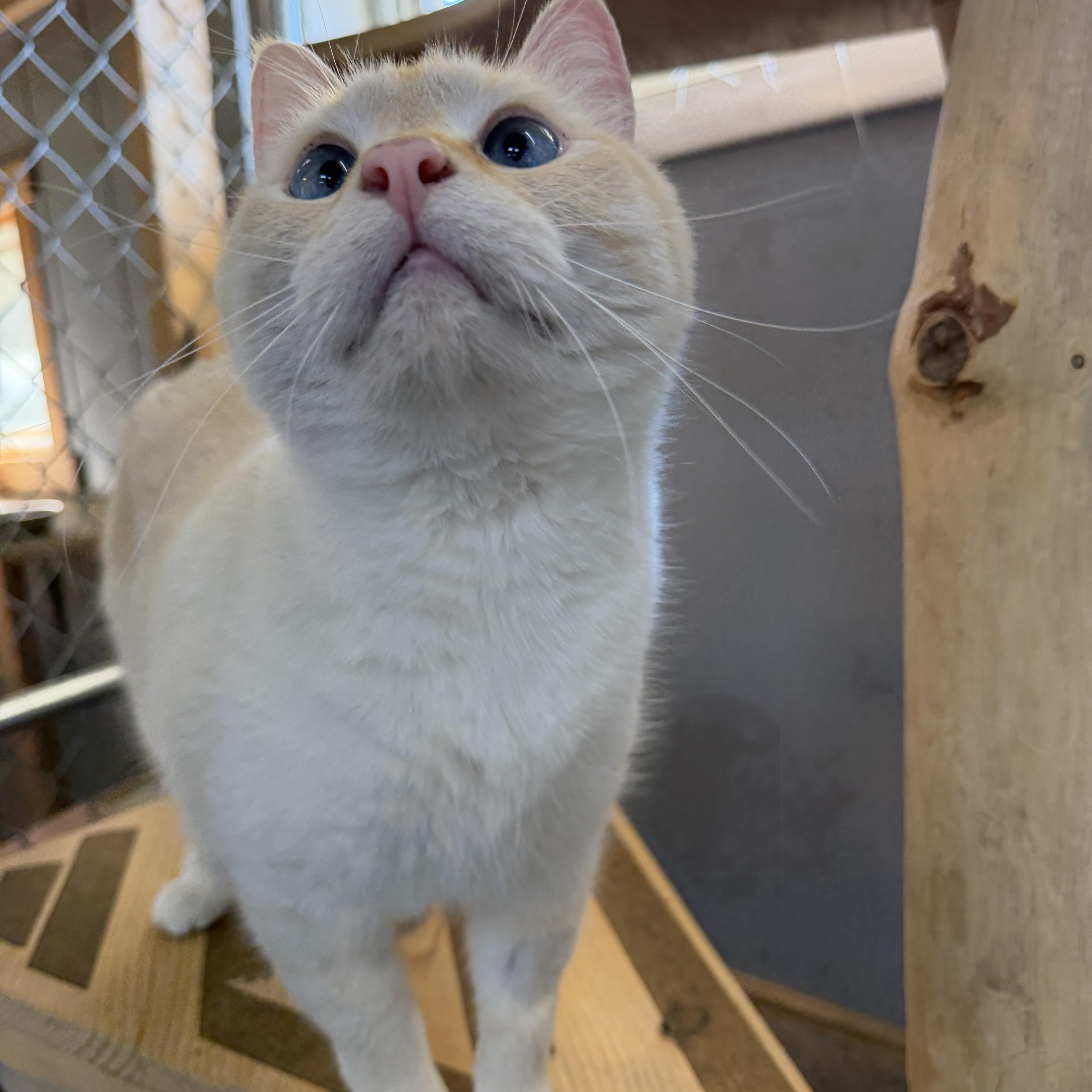 Casper thumbnail 5