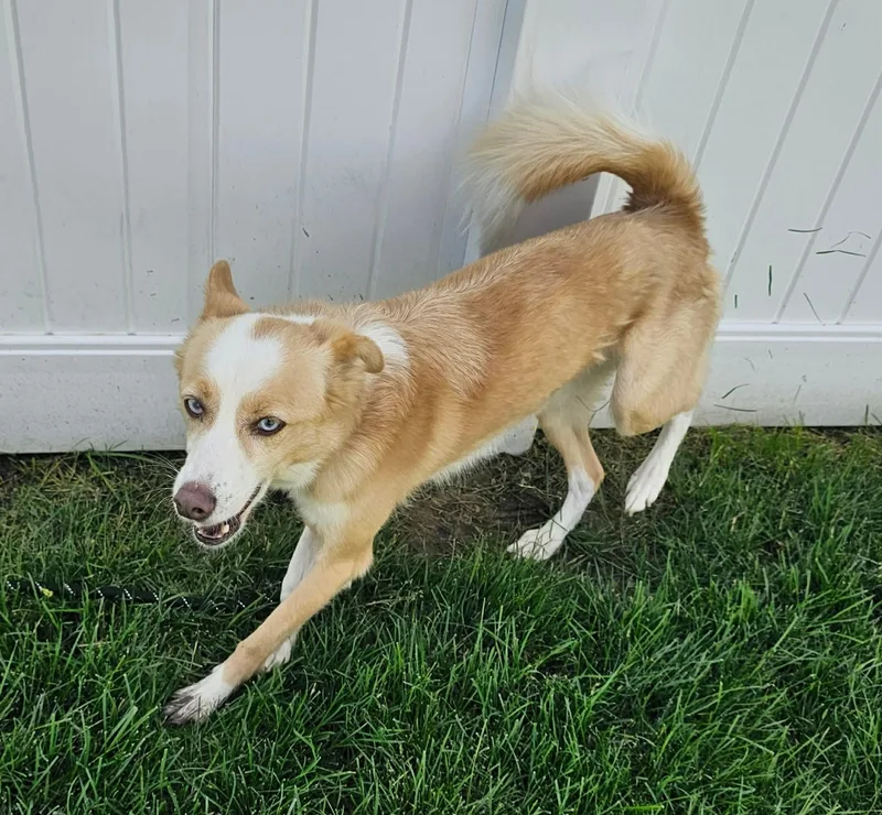 Prada thumbnail 4