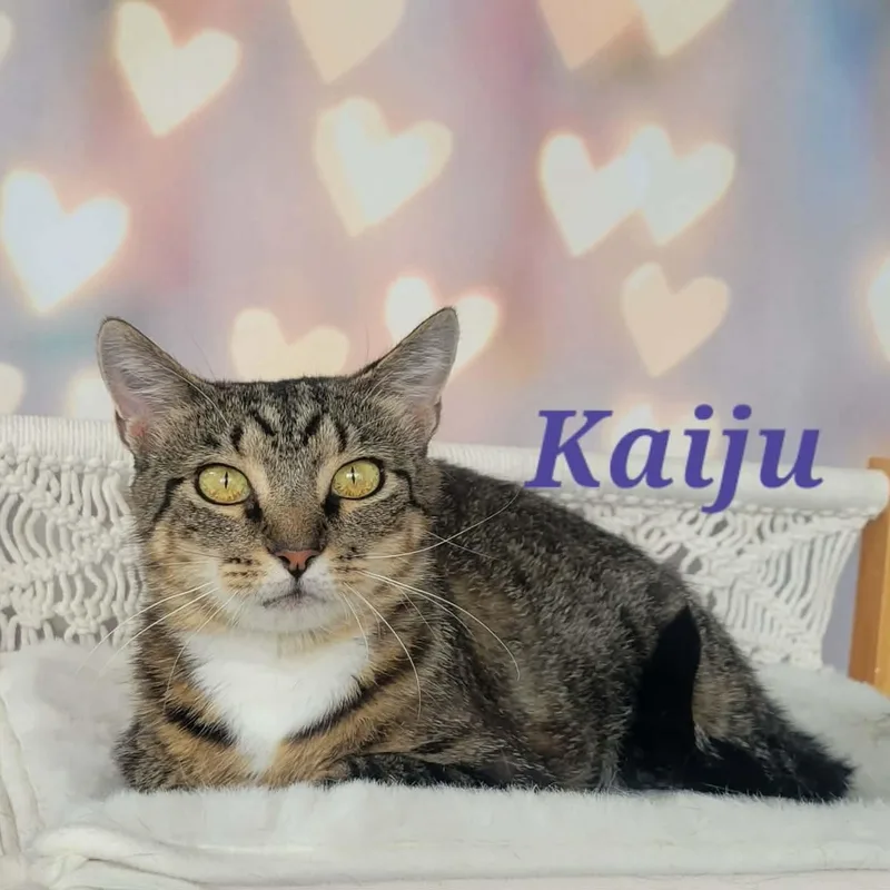 Kaiju thumbnail 3