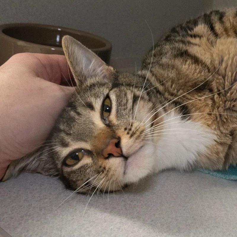 President Fiona thumbnail 2