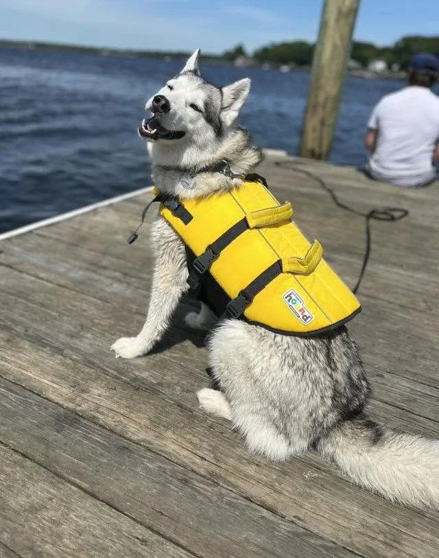 Nika Local thumbnail 2