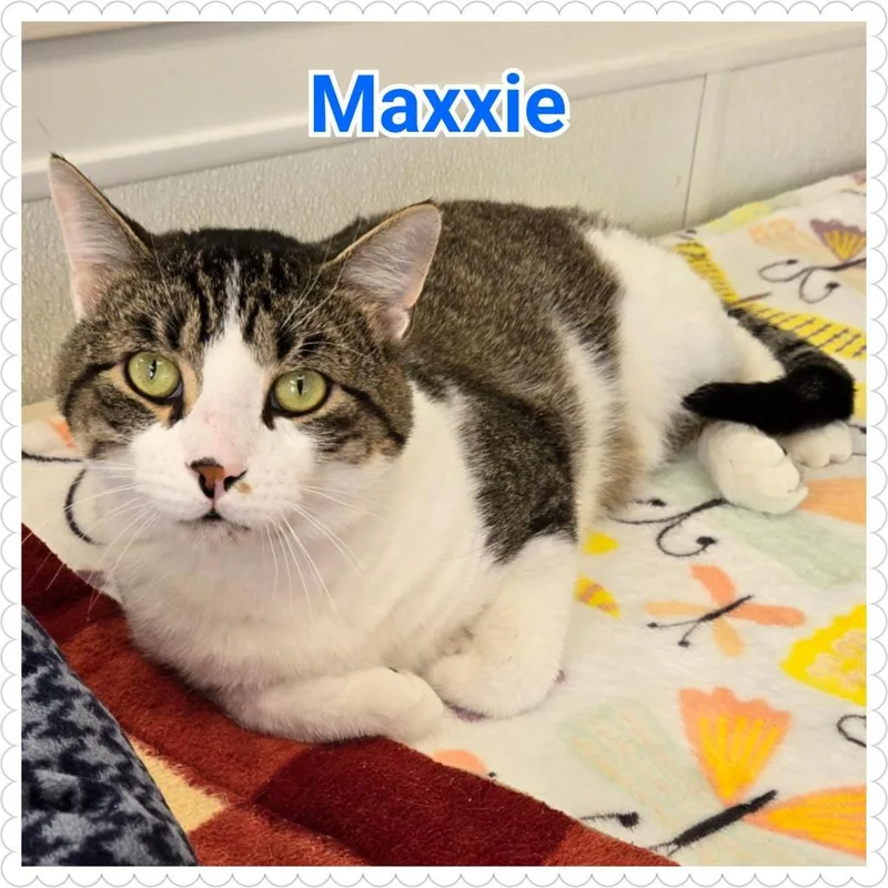 Maxxie thumbnail 3