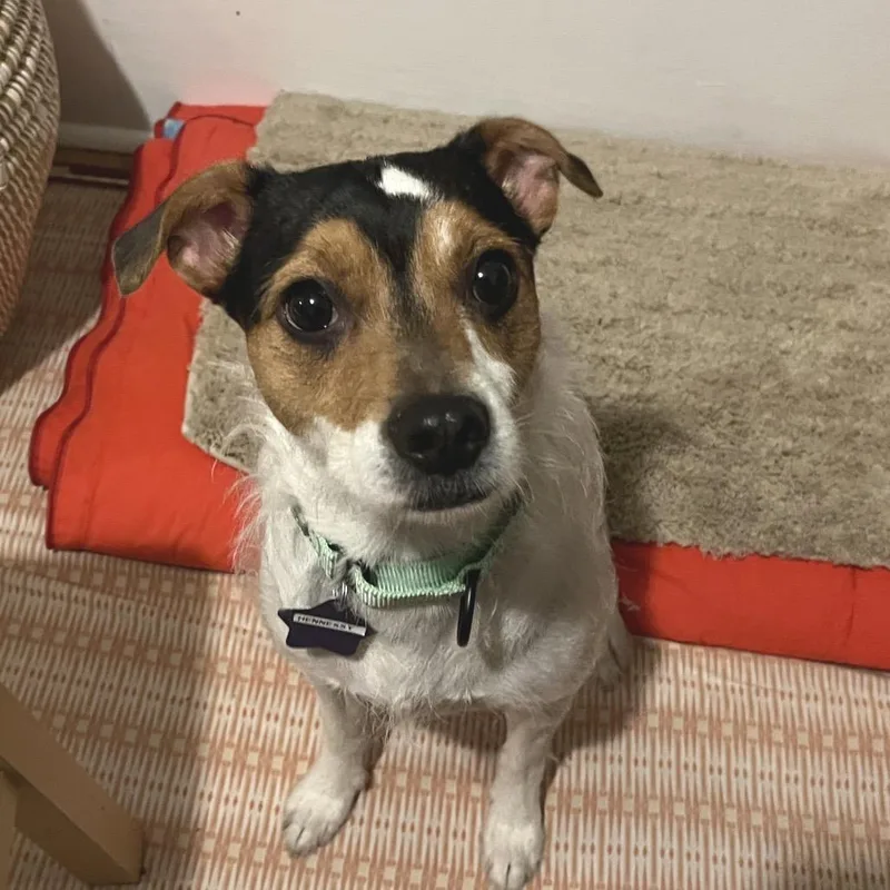 Hennessy thumbnail 2