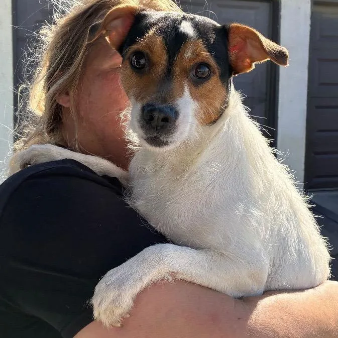 Hennessy thumbnail 3