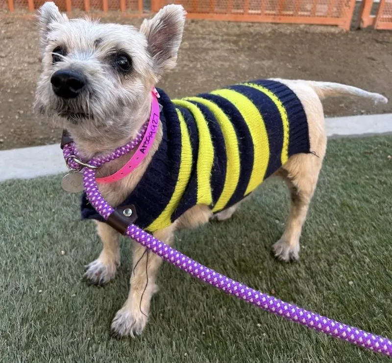 Emma And Sarra thumbnail 2