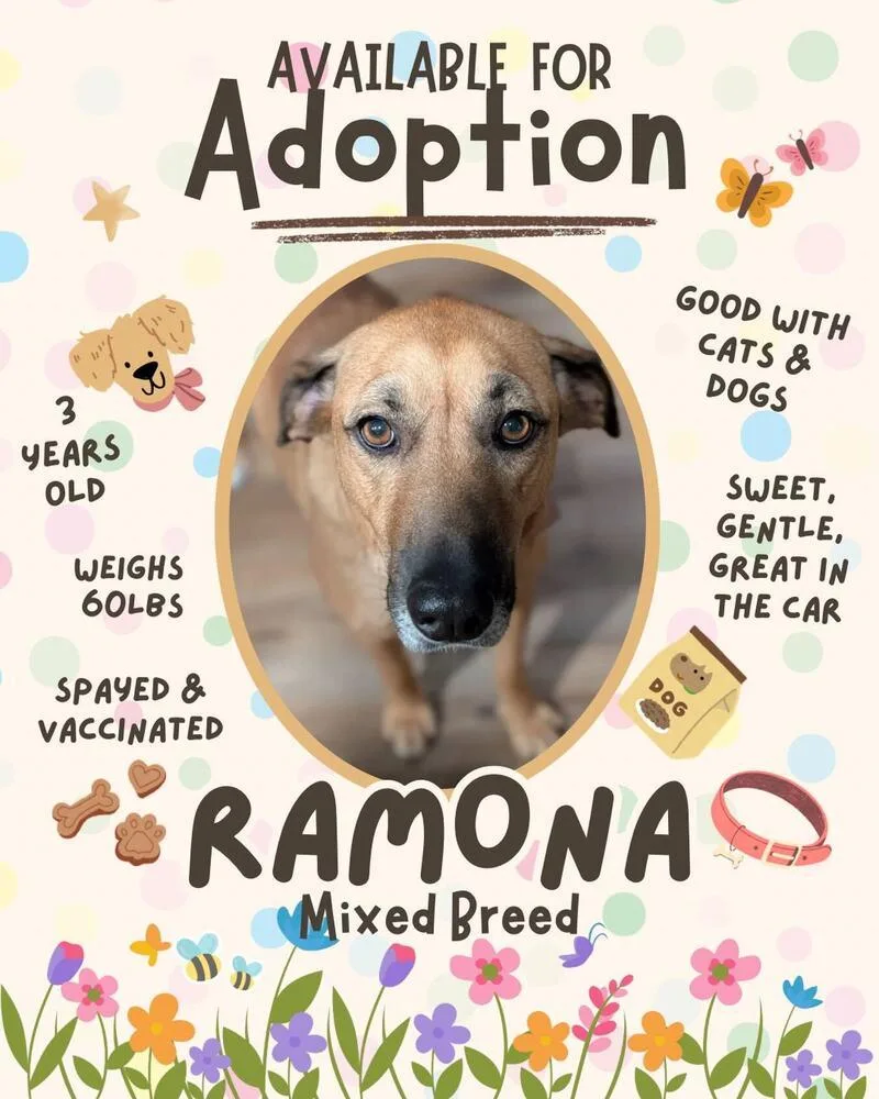 Ramona thumbnail 2