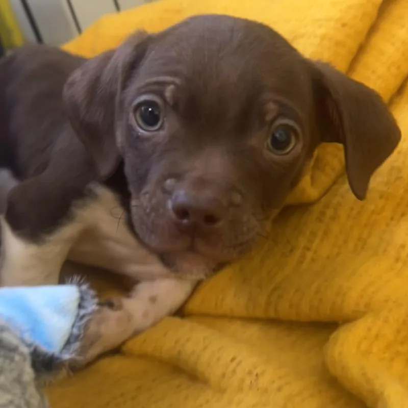 Home Depot thumbnail 2