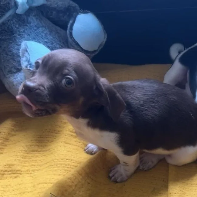 Home Depot thumbnail 3