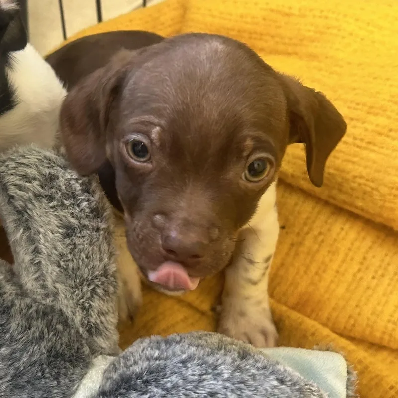 Home Depot thumbnail 5