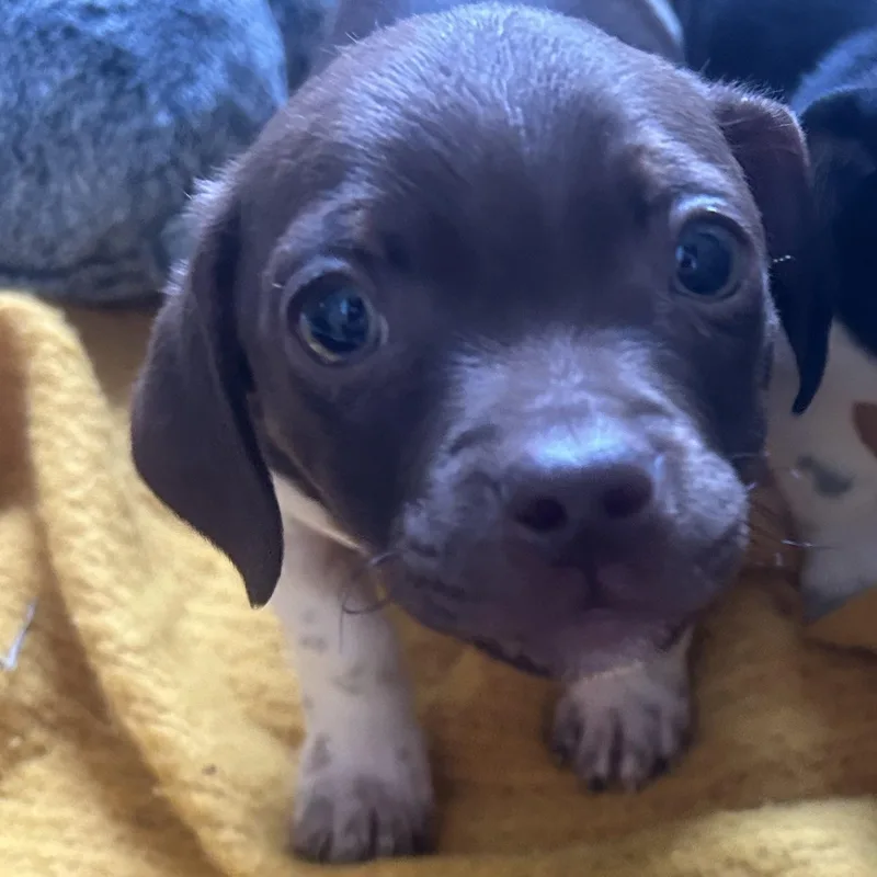 Home Depot thumbnail 6