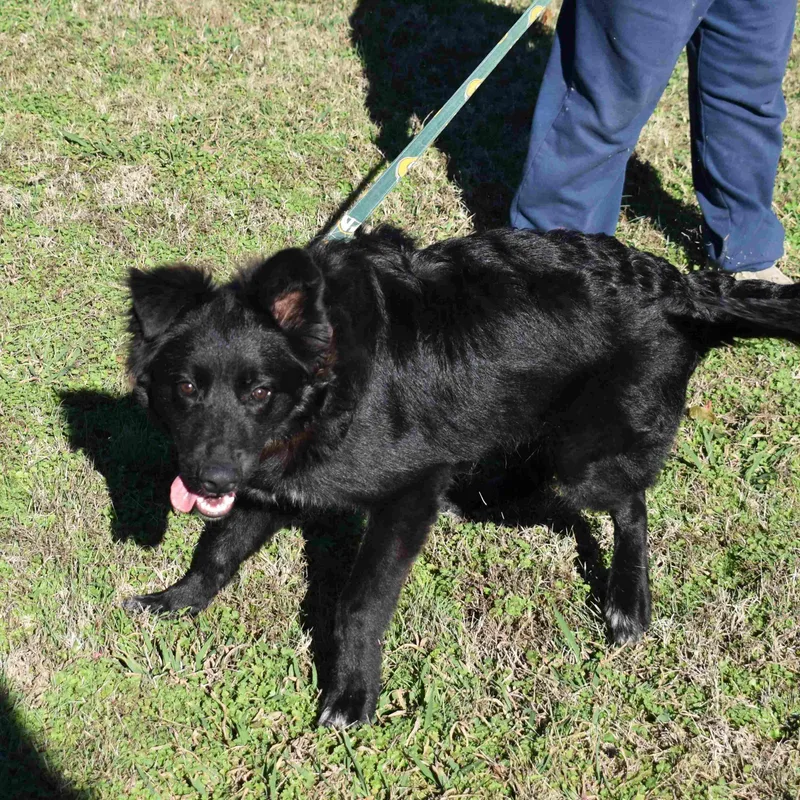 Cracker Jack thumbnail 2