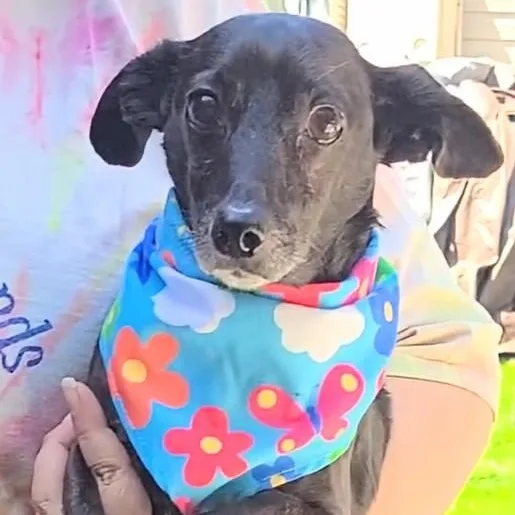 Little Bro thumbnail 2