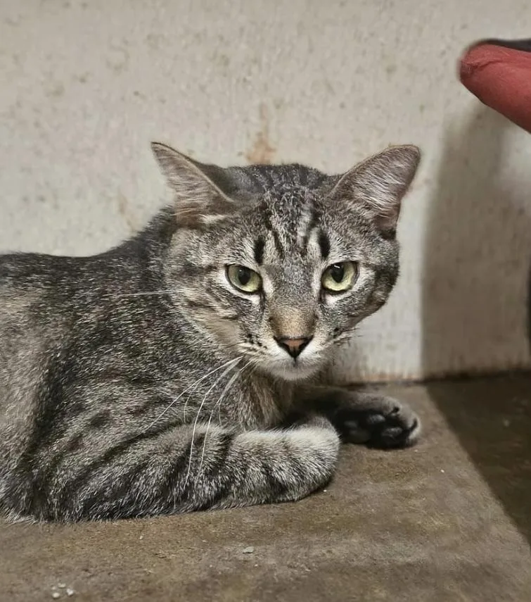 Skywalker thumbnail 4