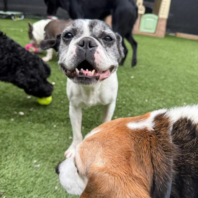 Bob Marley thumbnail 2