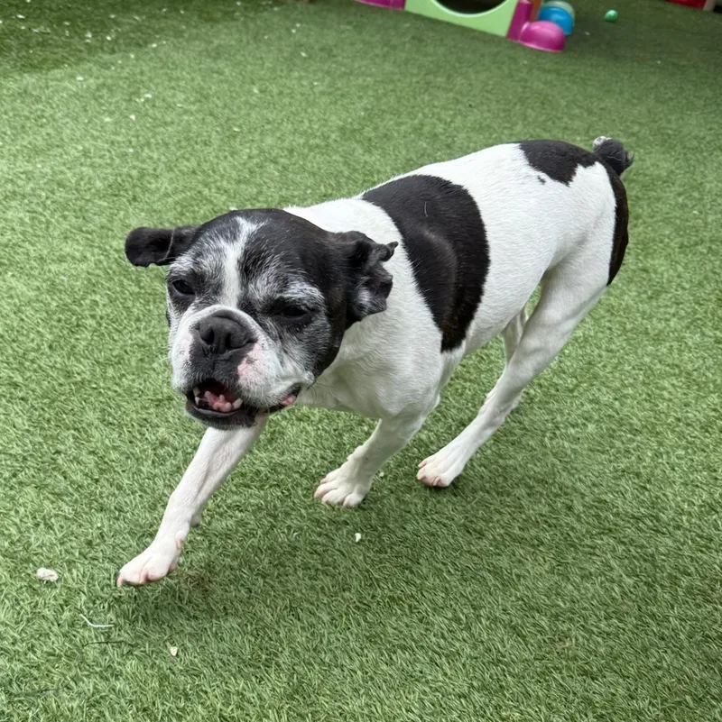 Bob Marley thumbnail 3