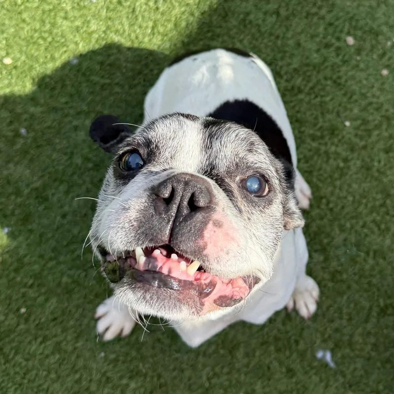 Bob Marley thumbnail 4