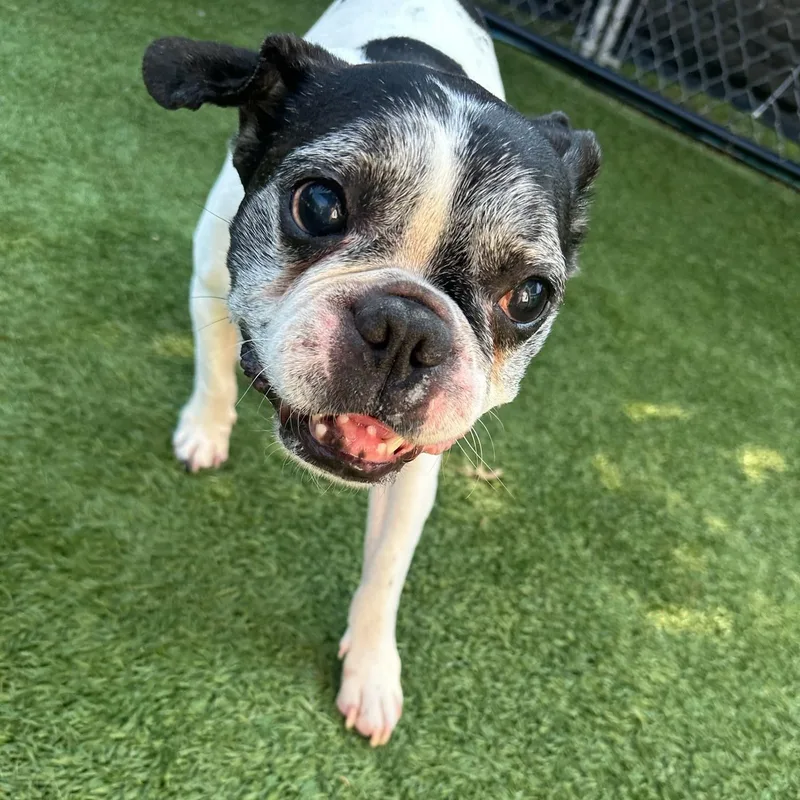 Bob Marley thumbnail 5