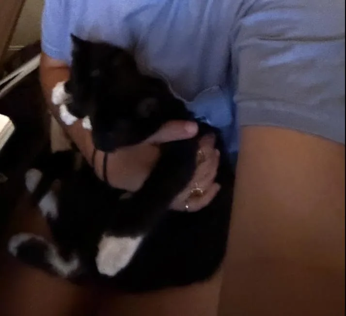 Remi thumbnail 2
