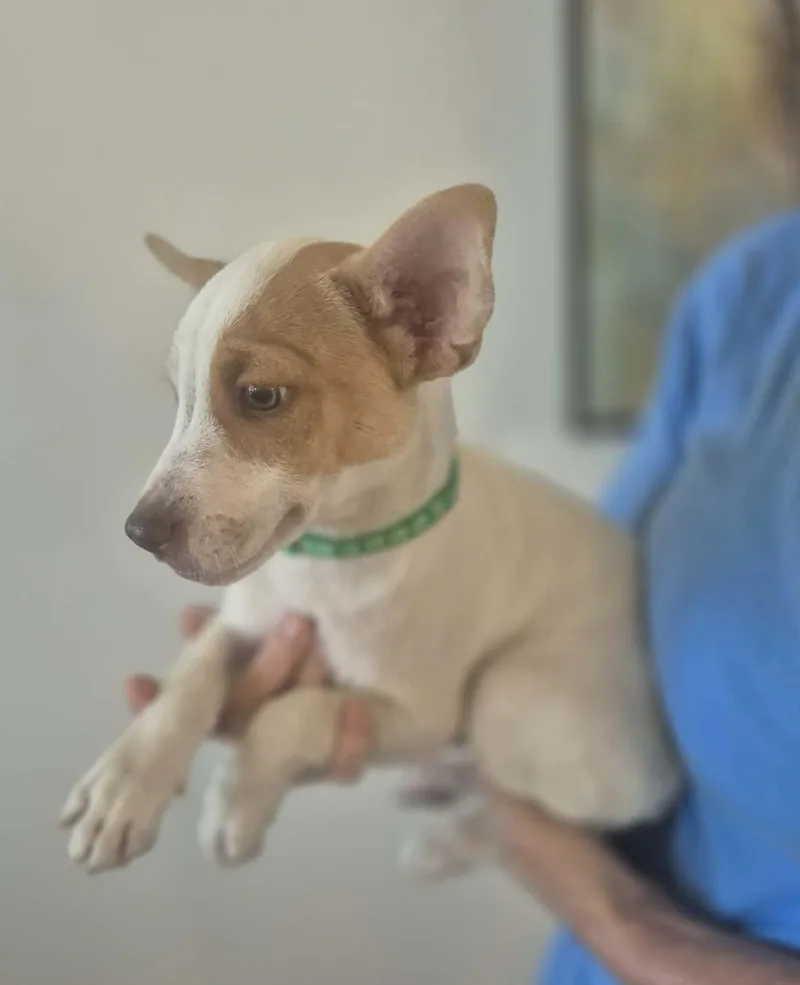 Benny