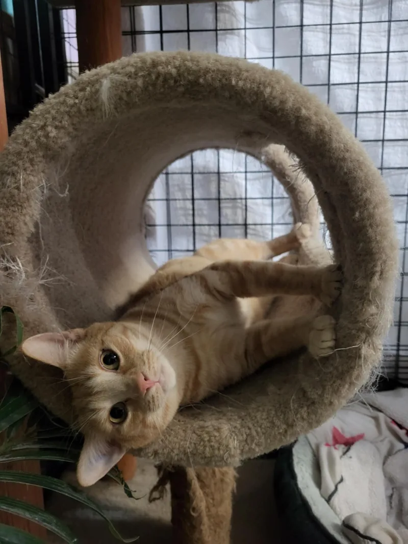 Sourdough thumbnail 2